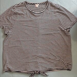 J. Crew navy and White Striped Short Sleeve Tee